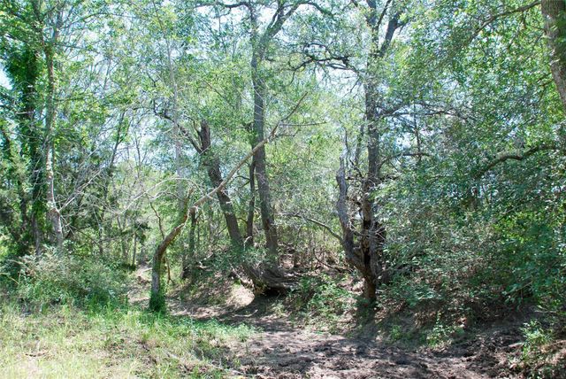 3703 Muehr Road, Weimar, TX 78962