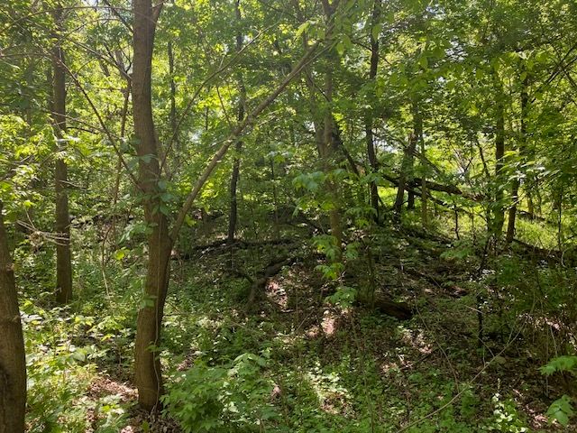 Lots 8 & 9 Ravine Drive, Spring Grove, IL 60081