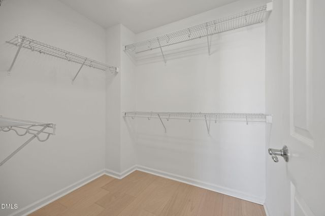 4019 Yellowfield Way, Cary, NC 27518