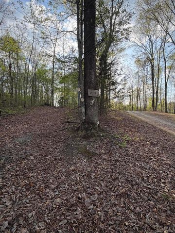 0 Henry Road, Whitwell, TN 37397