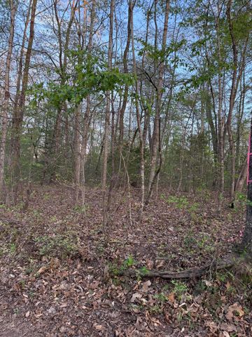 0 Henry Road, Whitwell, TN 37397