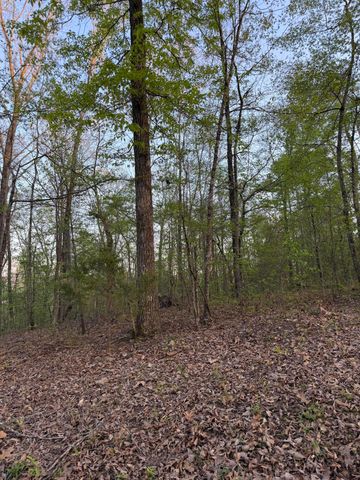 0 Henry Road, Whitwell, TN 37397