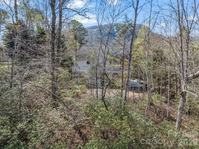 121 Fern Loop, Lake Lure, NC 28746