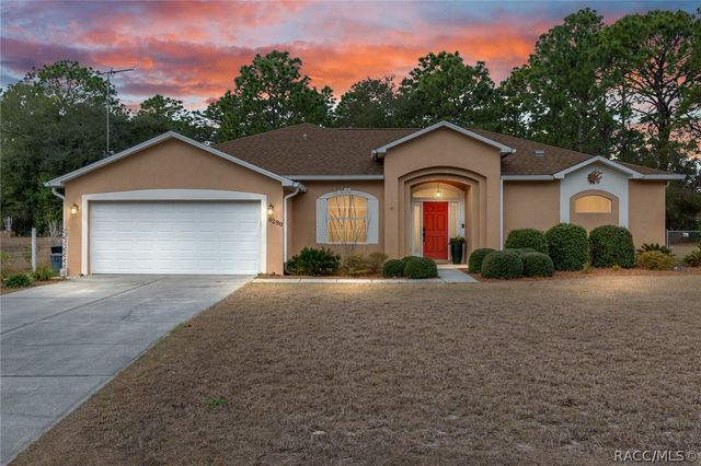 8290 N Ronda Drive, Citrus Springs, FL 34433