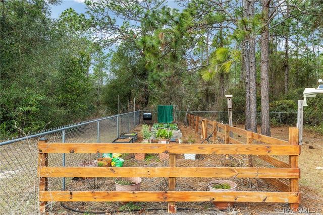 8290 N Ronda Drive, Citrus Springs, FL 34433