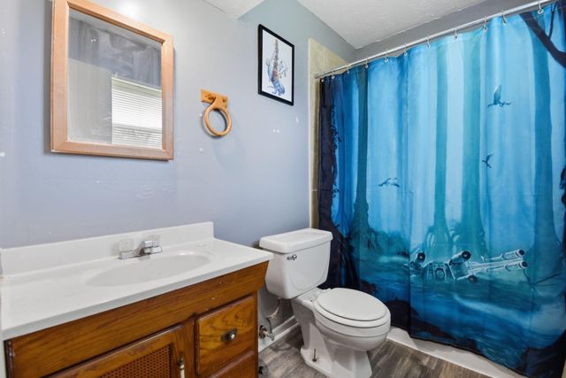 23303 Berry Pine Drive, Spring, TX 77373