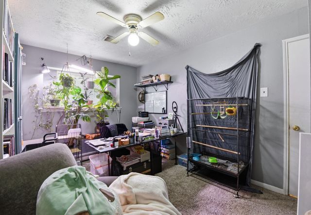 23303 Berry Pine Drive, Spring, TX 77373