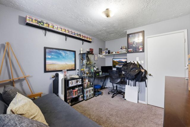 23303 Berry Pine Drive, Spring, TX 77373