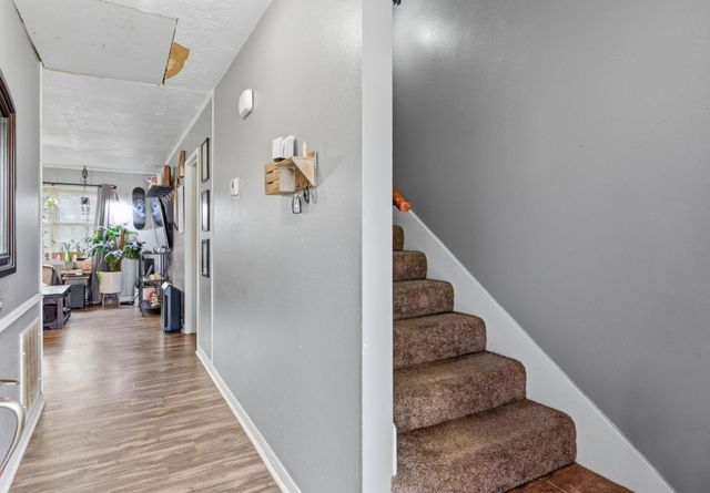 23303 Berry Pine Drive, Spring, TX 77373