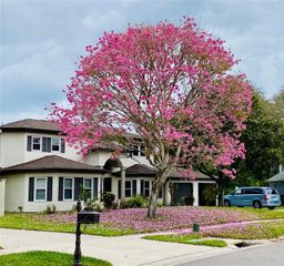 15924 NOTTINGHILL DRIVE, Lutz, FL 33548