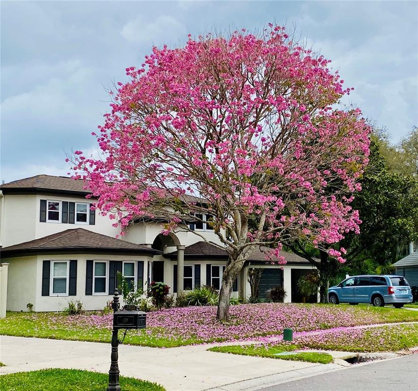 15924 NOTTINGHILL DRIVE, Lutz, FL 33548