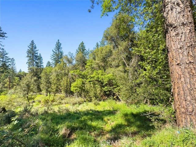 22666 Lower Quail Mine Road, Sonora, CA 95370