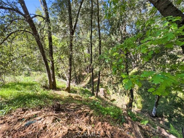 22666 Lower Quail Mine Road, Sonora, CA 95370