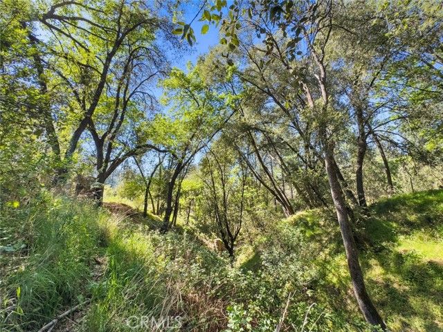 22666 Lower Quail Mine Road, Sonora, CA 95370