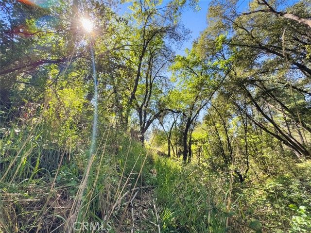 22666 Lower Quail Mine Road, Sonora, CA 95370