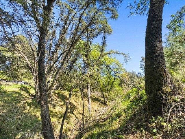 22666 Lower Quail Mine Road, Sonora, CA 95370
