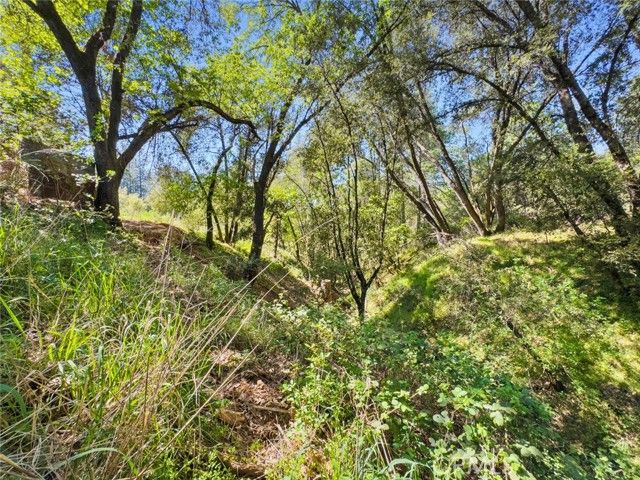 22666 Lower Quail Mine Road, Sonora, CA 95370