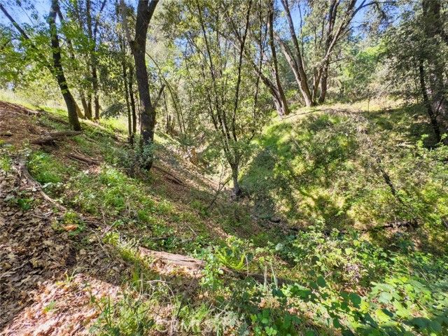 22666 Lower Quail Mine Road, Sonora, CA 95370