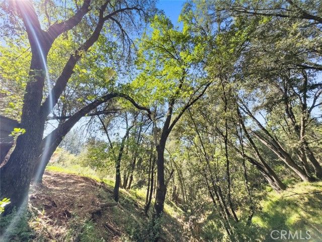 22666 Lower Quail Mine Road, Sonora, CA 95370