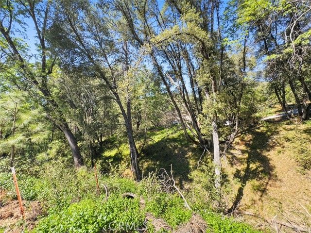 22666 Lower Quail Mine Road, Sonora, CA 95370