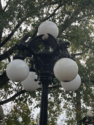 7400 Bellerive Drive 1807, Houston, TX 77036