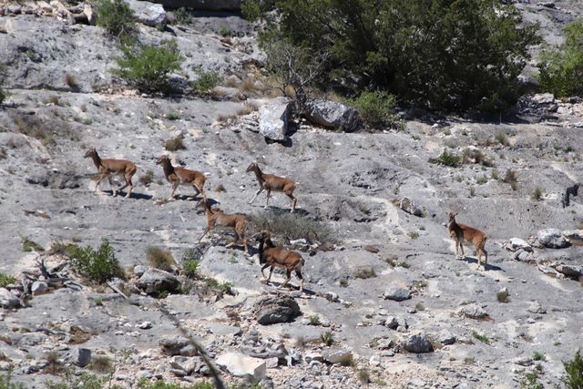 sd 630 CR 630, Rocksprings, TX 78880