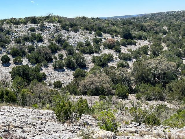 sd 630 CR 630, Rocksprings, TX 78880