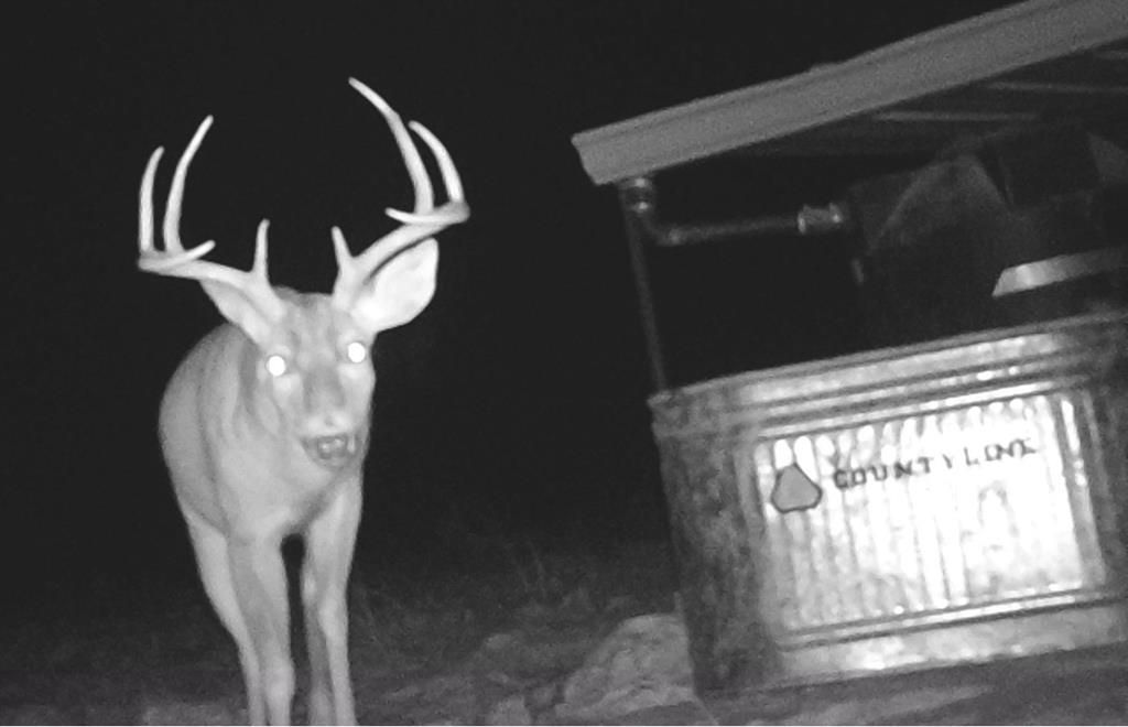sd 630 CR 630, Rocksprings, TX 78880