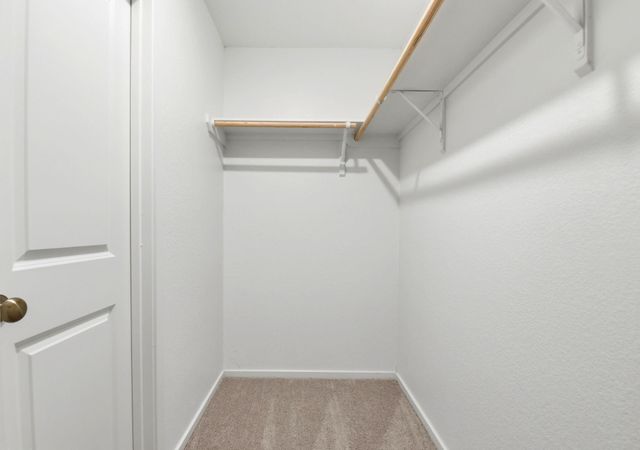 15227 Abella Drive, Conroe, TX 77316