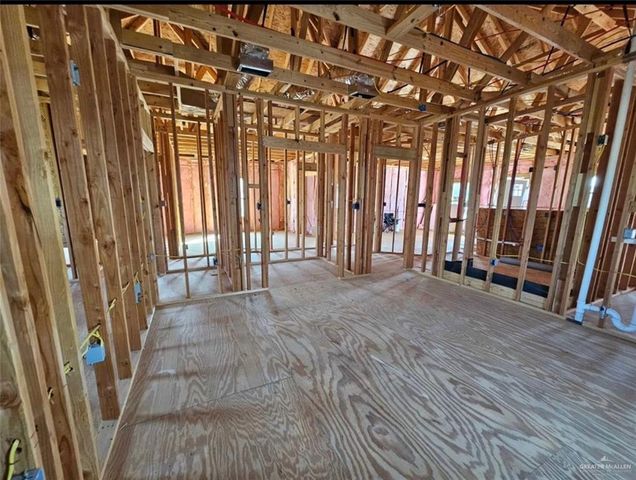 614 E Birch Avenue, Alamo, TX 78516