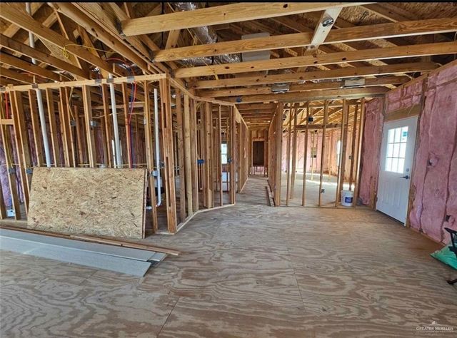 614 E Birch Avenue, Alamo, TX 78516