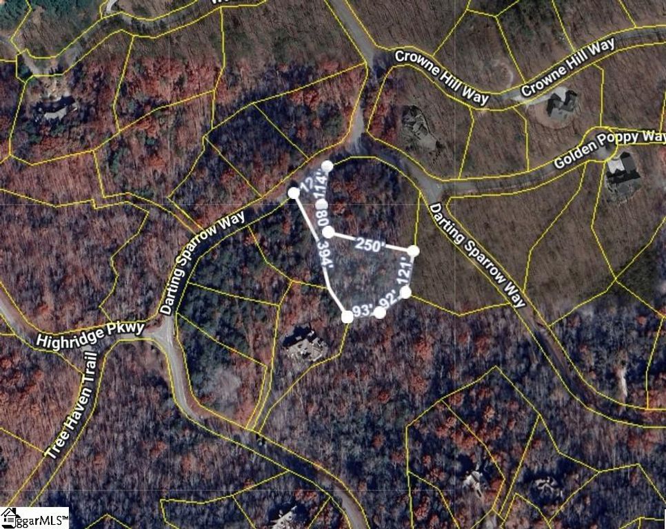 40 Darting Sparrow Way, Marietta, SC 29661