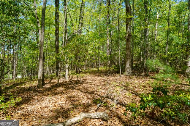 LOT 35 Spring Camp Road, Ellijay, GA 30536