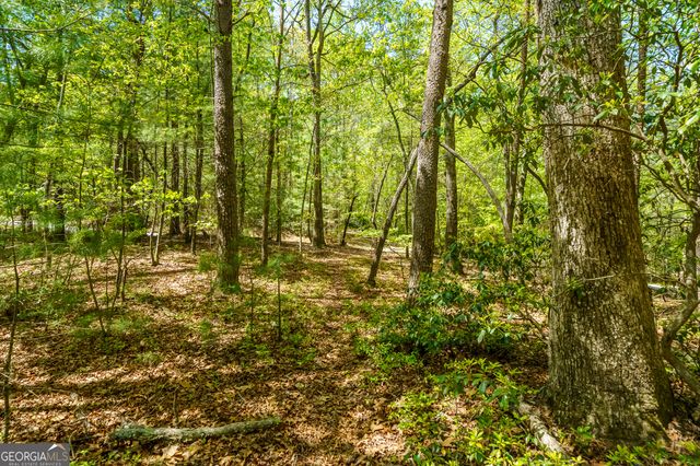 LOT 35 Spring Camp Road, Ellijay, GA 30536