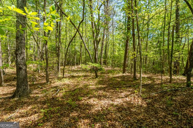 LOT 35 Spring Camp Road, Ellijay, GA 30536