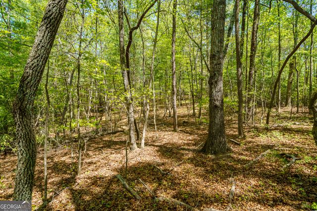 LOT 35 Spring Camp Road, Ellijay, GA 30536