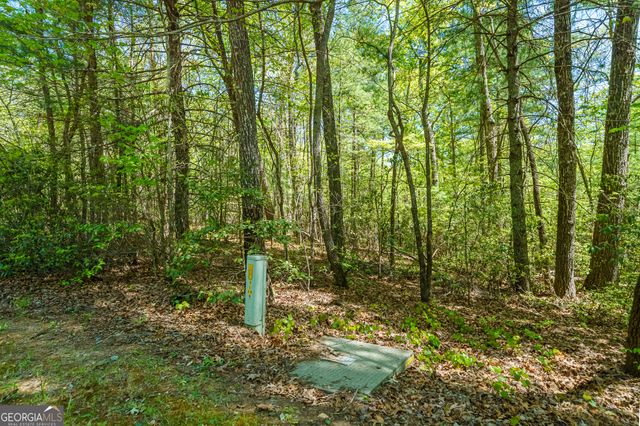 LOT 35 Spring Camp Road, Ellijay, GA 30536