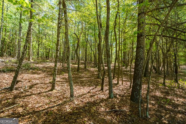 LOT 35 Spring Camp Road, Ellijay, GA 30536
