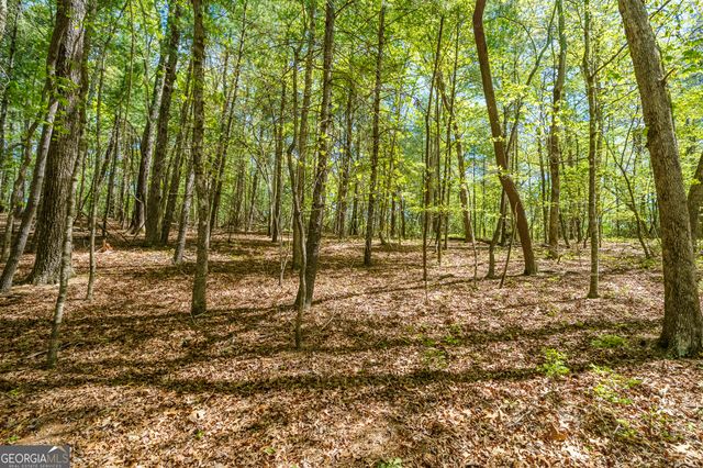 LOT 35 Spring Camp Road, Ellijay, GA 30536