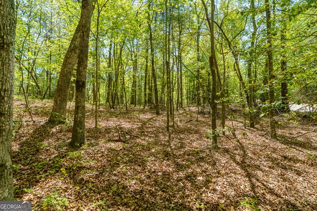 LOT 35 Spring Camp Road, Ellijay, GA 30536