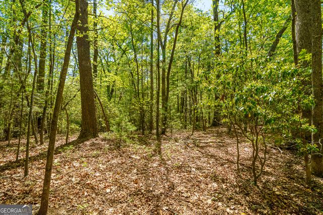 LOT 35 Spring Camp Road, Ellijay, GA 30536