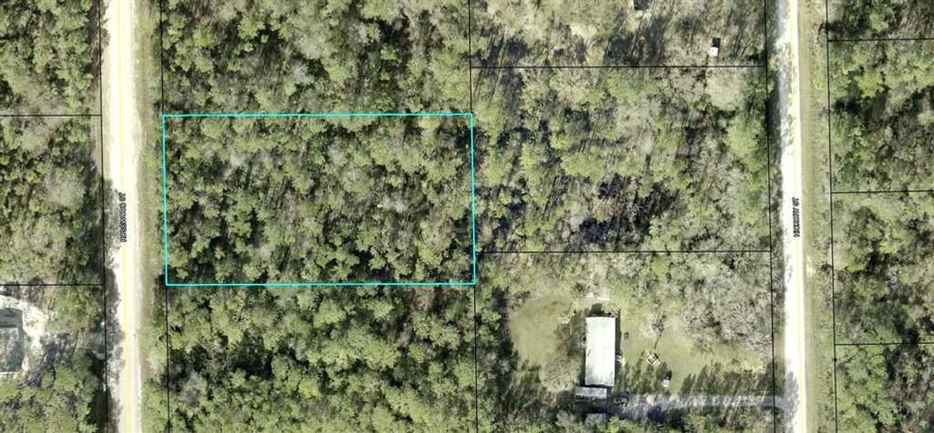 1353 ROSEWOOD STREET, Bunnell, FL 32110