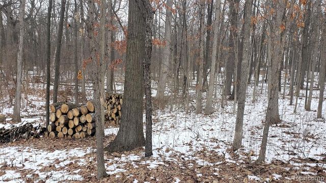 3391 Shimmons Road, Auburn Hills, MI 48326