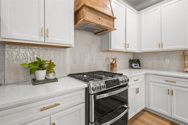 4465 TUBULAR RUN, Land O Lakes, FL 34638