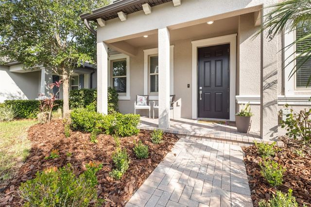 4465 TUBULAR RUN, Land O Lakes, FL 34638