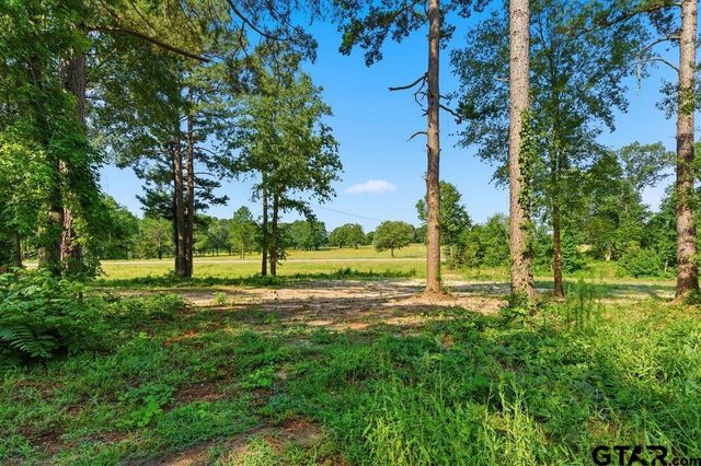 85 SE CR 4305, Scroggins, TX 75480