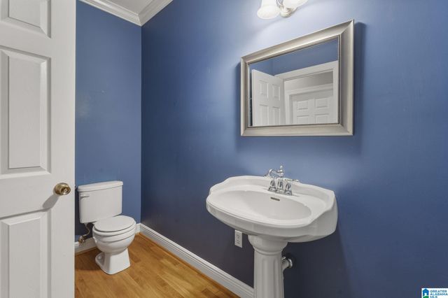 113 LAKE DAVIDSON LANE, Helena, AL 35080