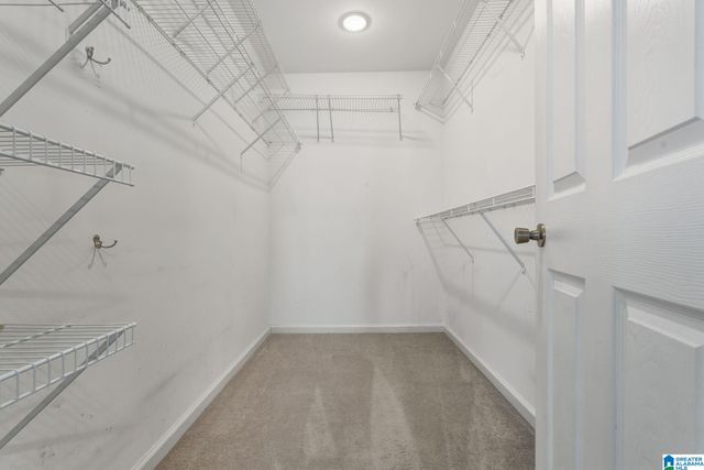 113 LAKE DAVIDSON LANE, Helena, AL 35080