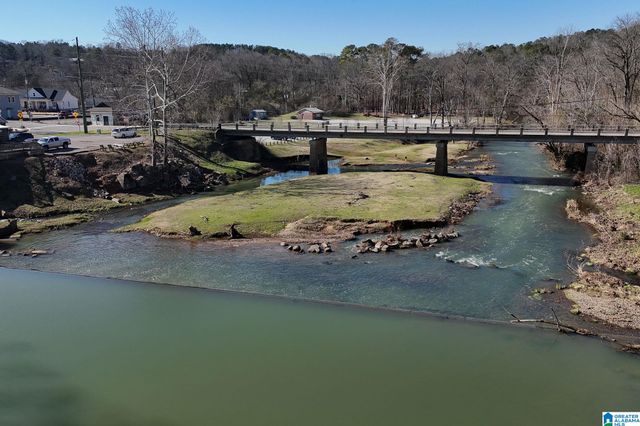 113 LAKE DAVIDSON LANE, Helena, AL 35080