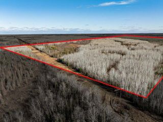 TBD County Rd 60, Grand Rapids, MN 55744